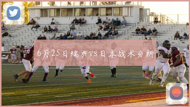 6月25日瑞典vs日本战术分析