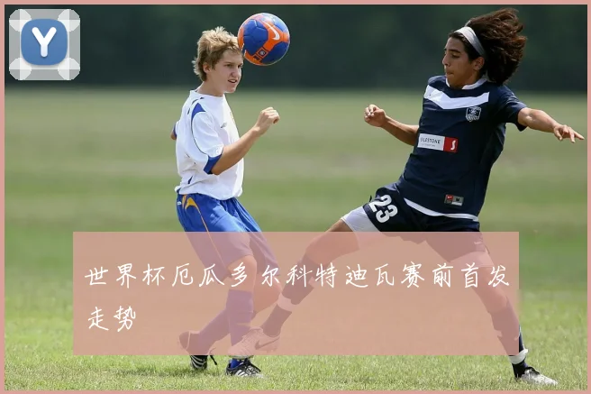 世界杯厄瓜多尔科特迪瓦赛前首发走势