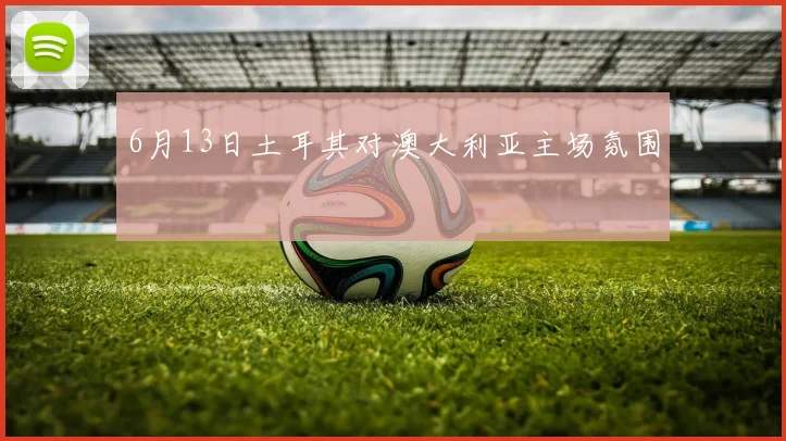 6月13日土耳其对澳大利亚主场氛围